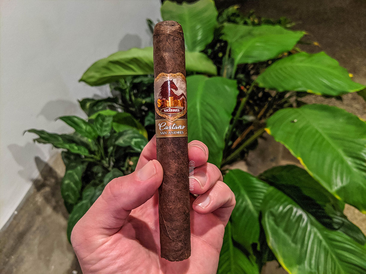 Stallone - Castaño San Andres 01