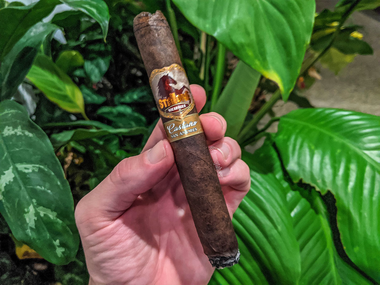 Stallone - Castaño San Andres 02