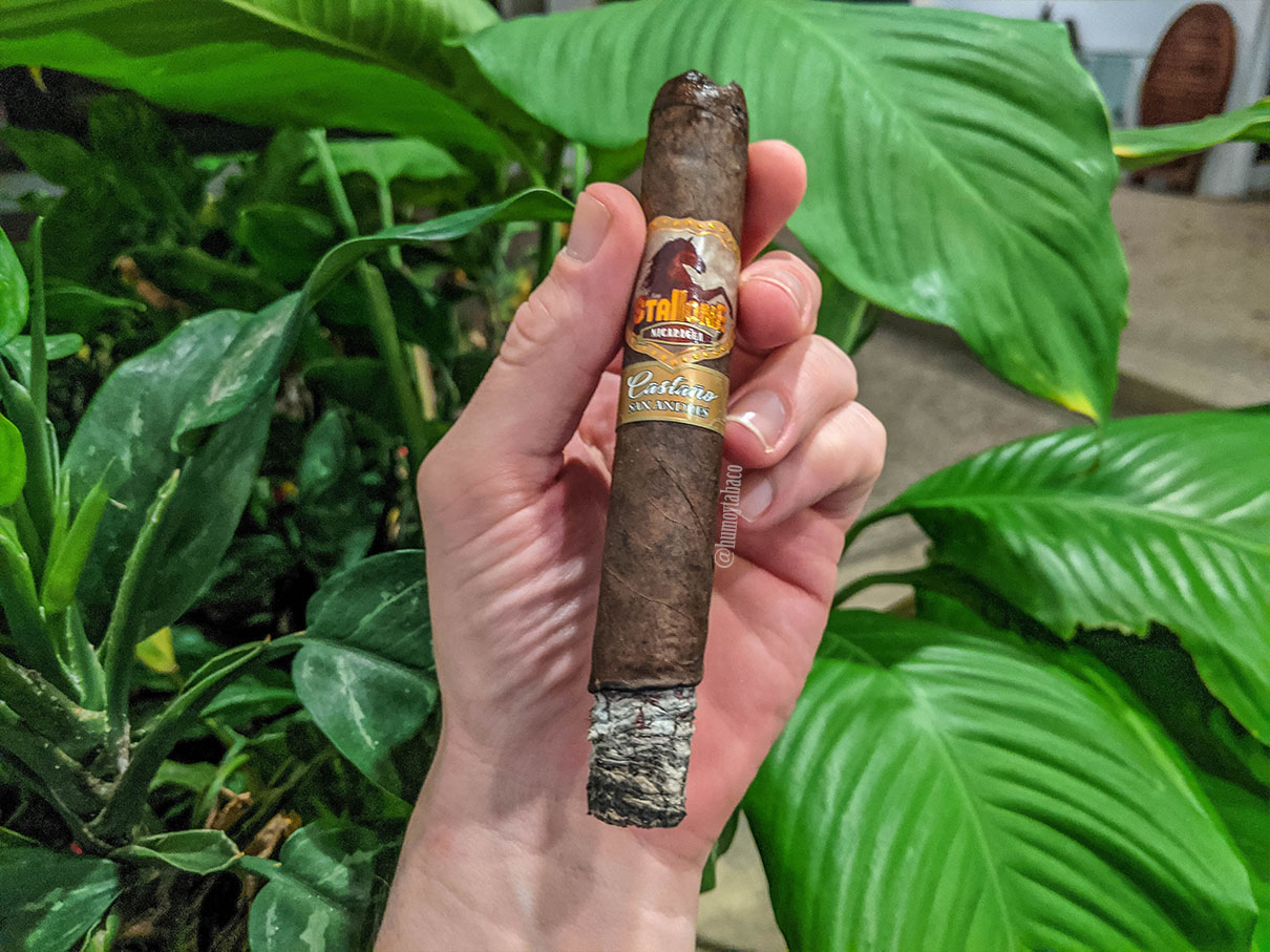 Stallone - Castaño San Andres 03