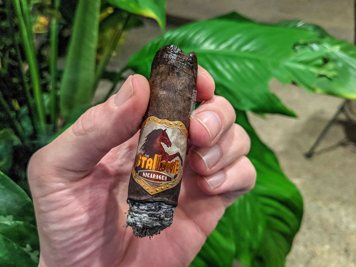 Stallone - Castaño San Andres 06