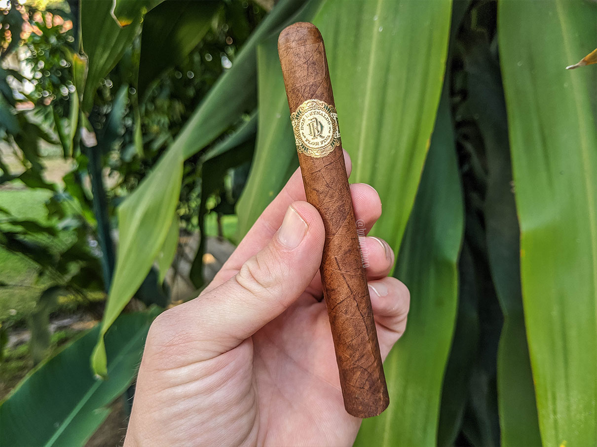 Warped - Don Reynaldo 01