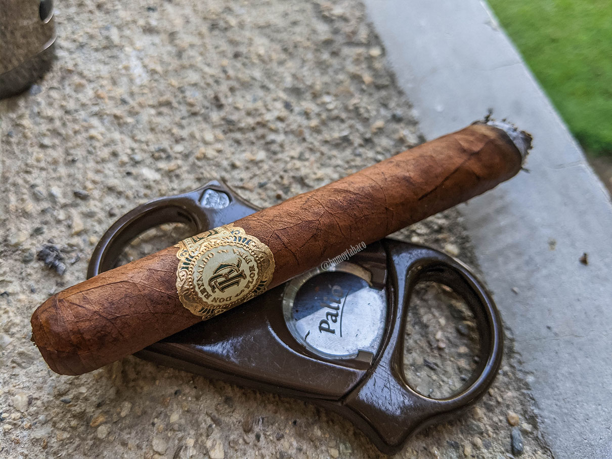 Warped - Don Reynaldo 03