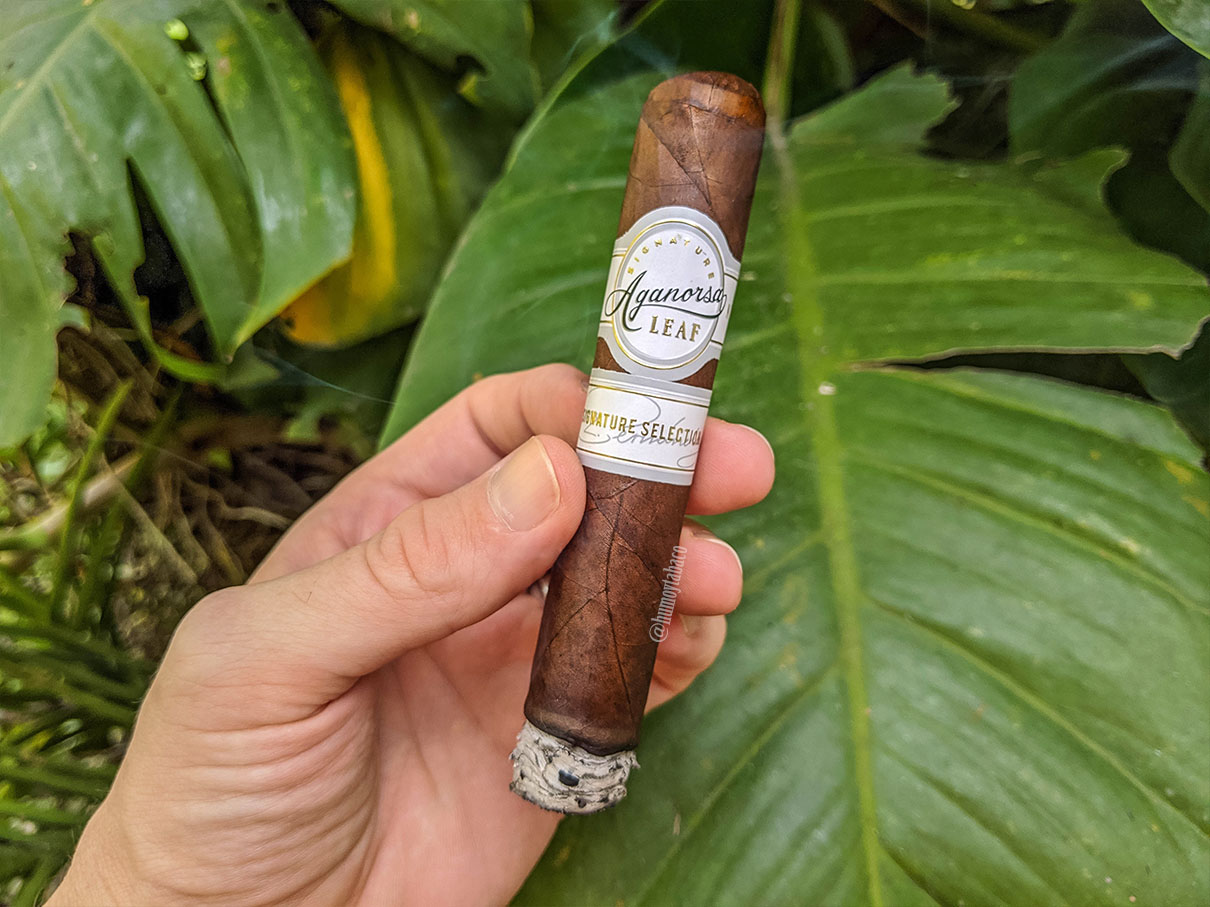Aganorsa Leaf - Signature Selection Maduro 02