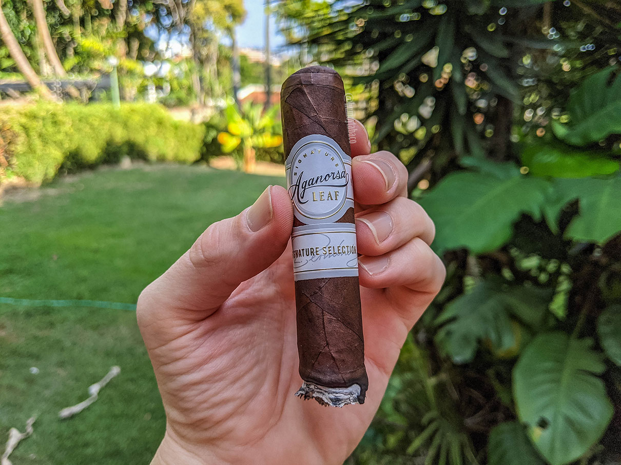 Aganorsa Leaf - Signature Selection Maduro 03