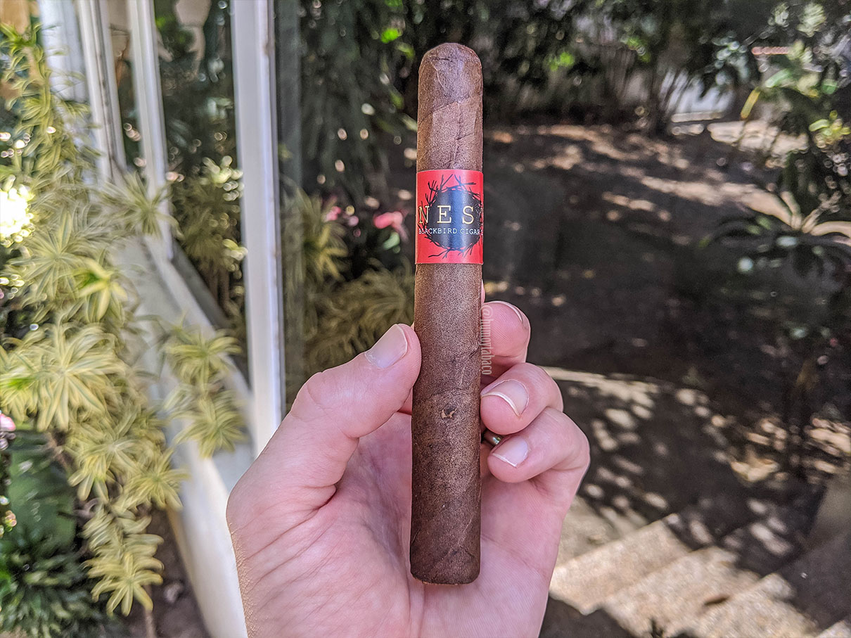 Blackbird - The Nest 01