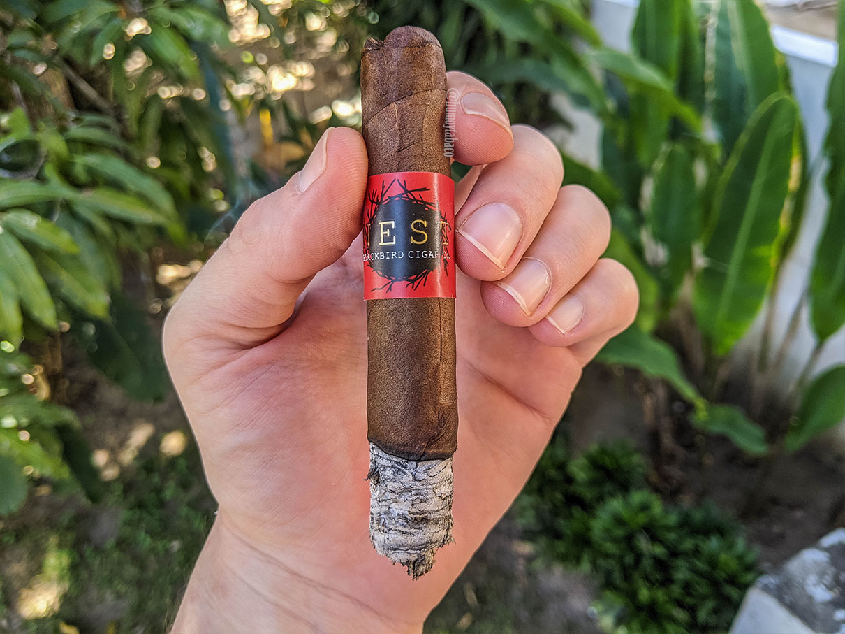 Blackbird - The Nest 04