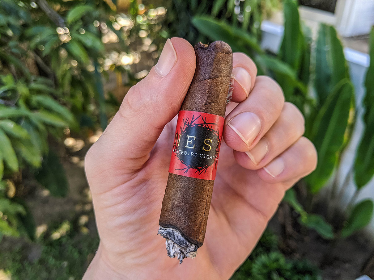 Blackbird - The Nest 05