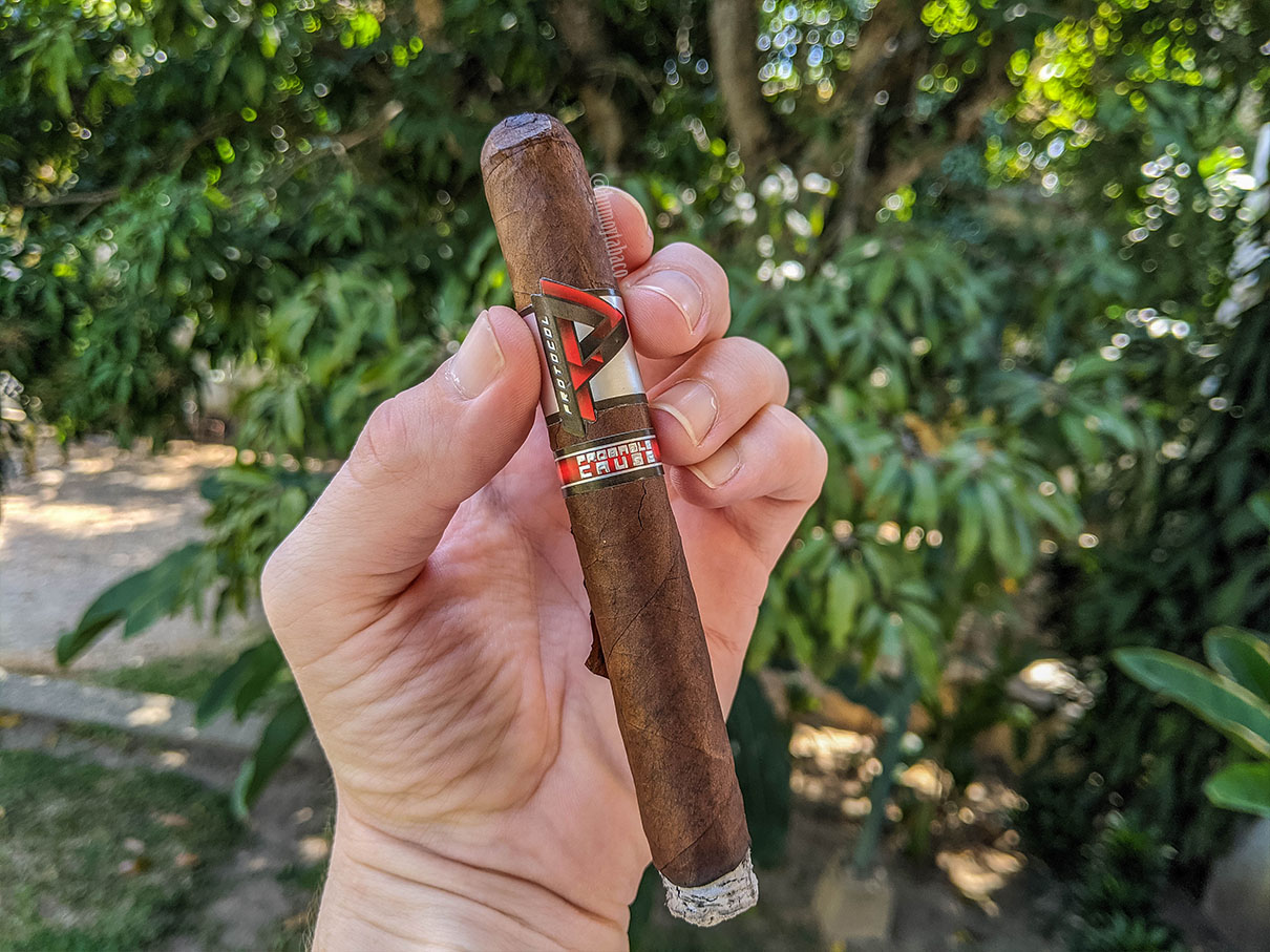 Cubariqueño - Protocol Probable Cause 02