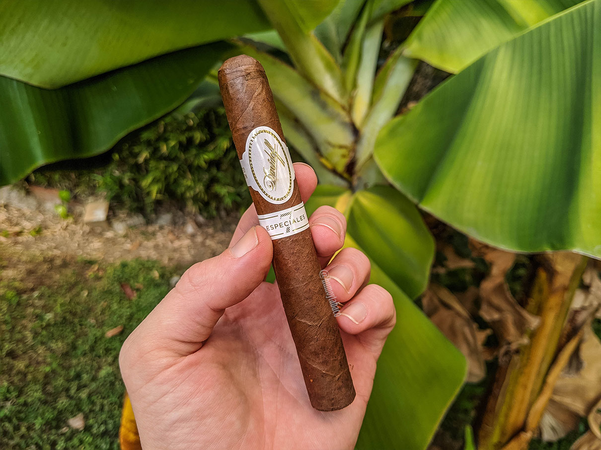 Davidoff - Robusto Especiales 7 01