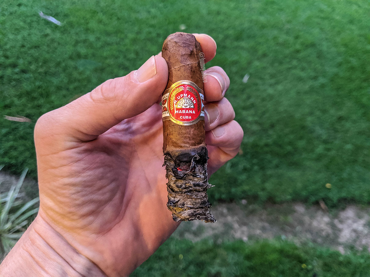 H Upmann - Royal Robusto LCDH 05