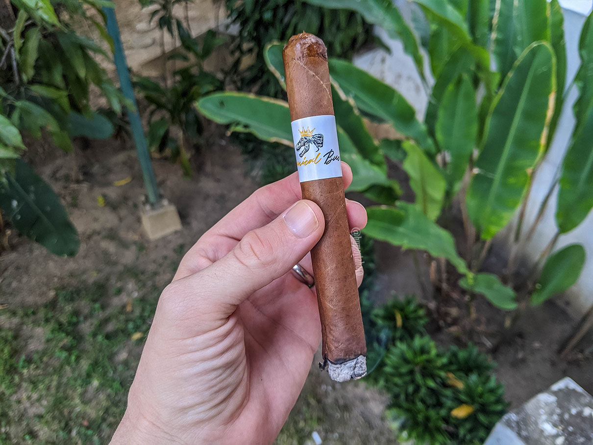 Jas Sum Kral - Tyrannical Buc Habano 02