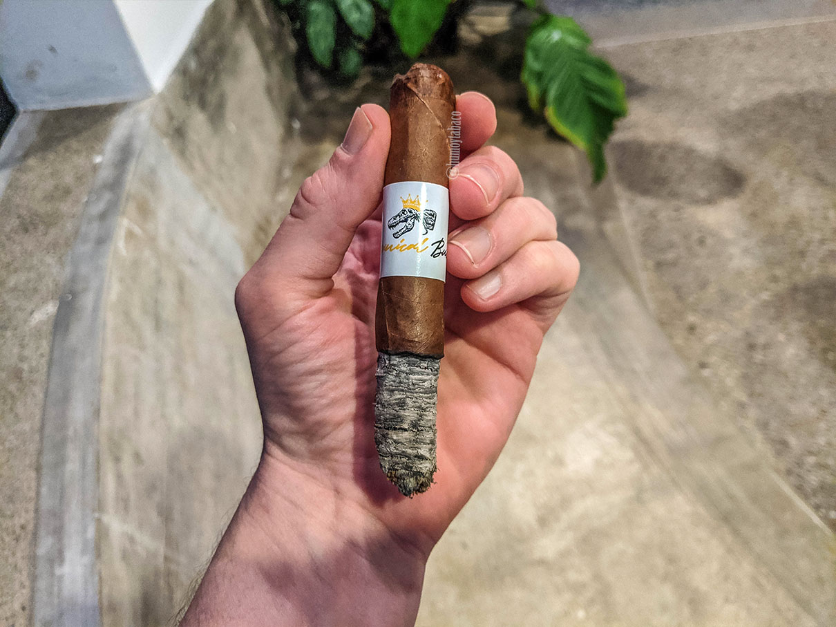 Jas Sum Kral - Tyrannical Buc Habano 05