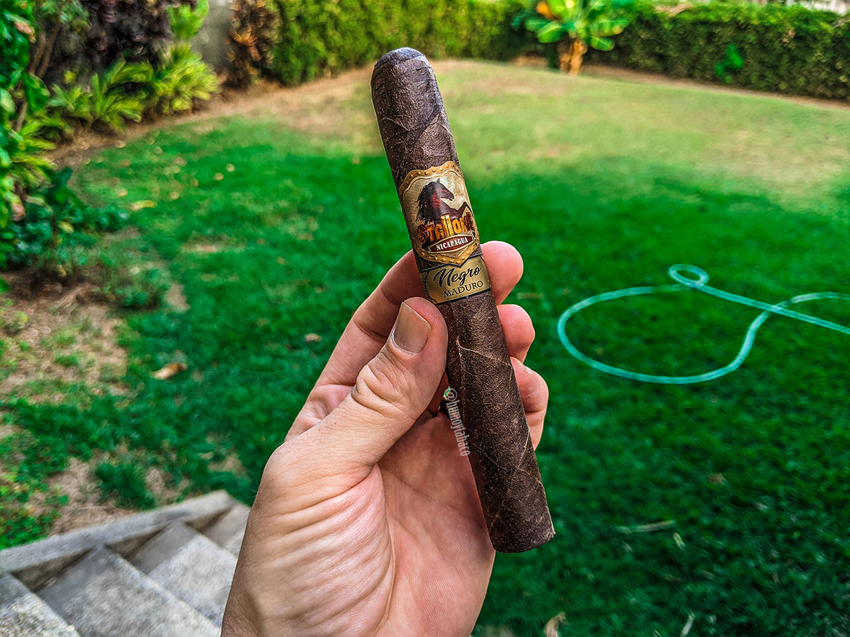 Stallone - Negro Maduro 01