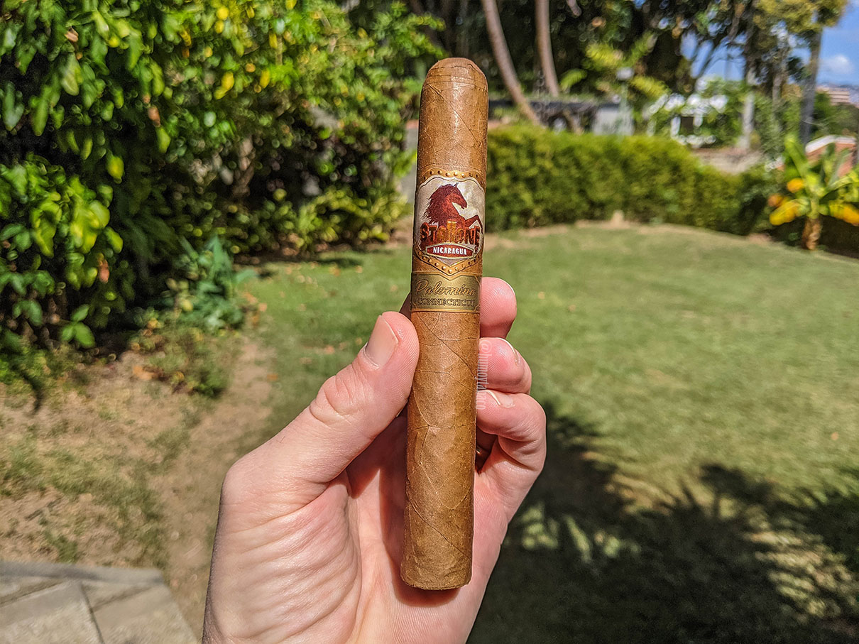 Stallone - Palomino Connectiut 01