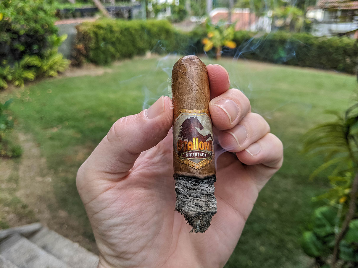 Stallone - Palomino Connectiut 05