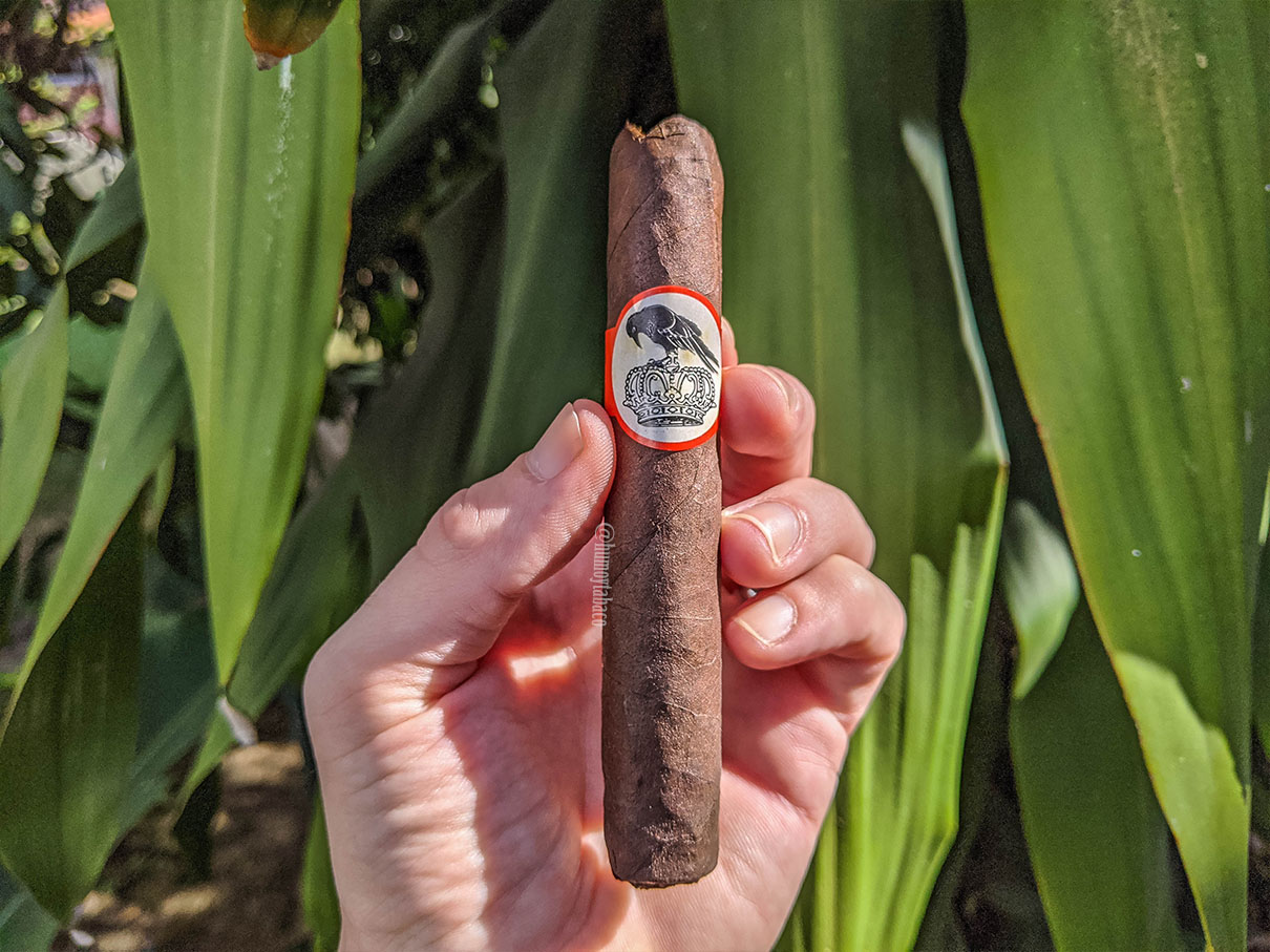 Stolen Throne - Crook of the Crown 01