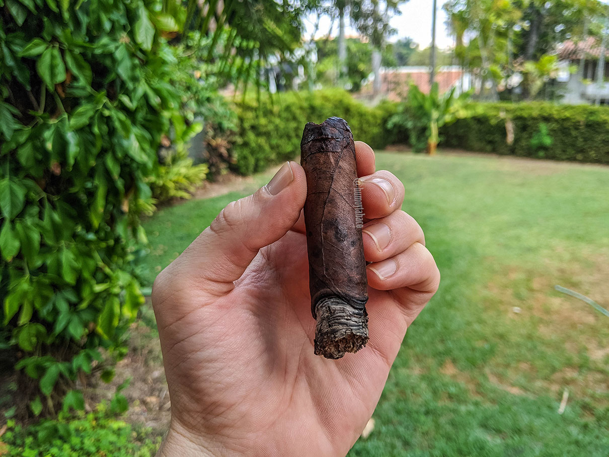 Alec Bradley - Magic Toast 05