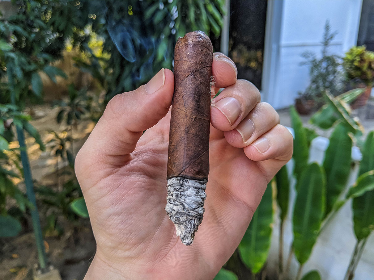 Blackbird - Raven 03