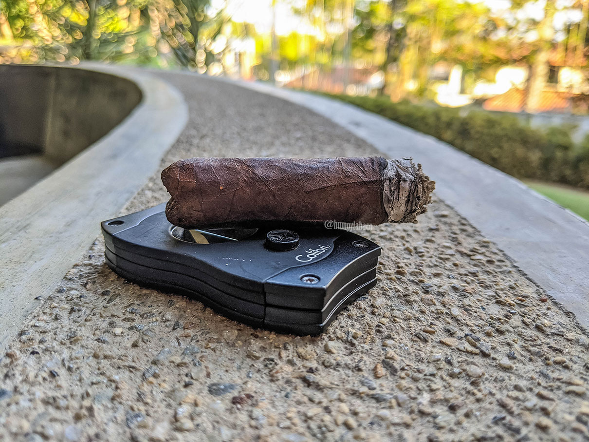 Blackbird - Raven 04