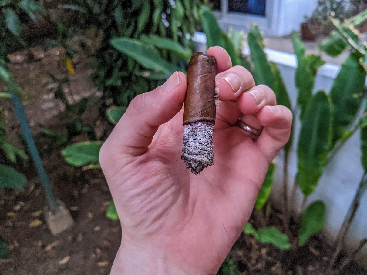 Fuera de Serie Habano Short 04