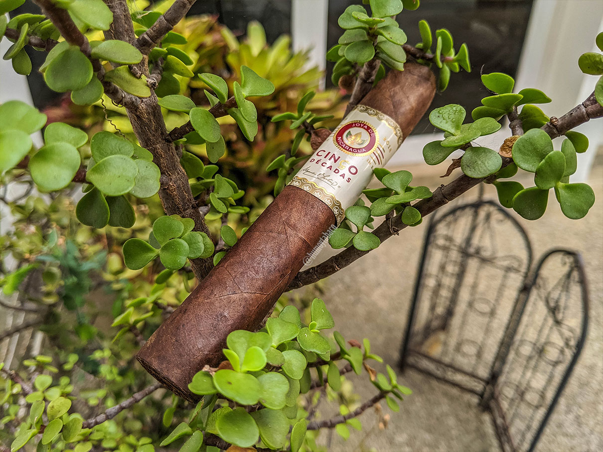 Joya de Nicaragua - Cinco Décadas 01