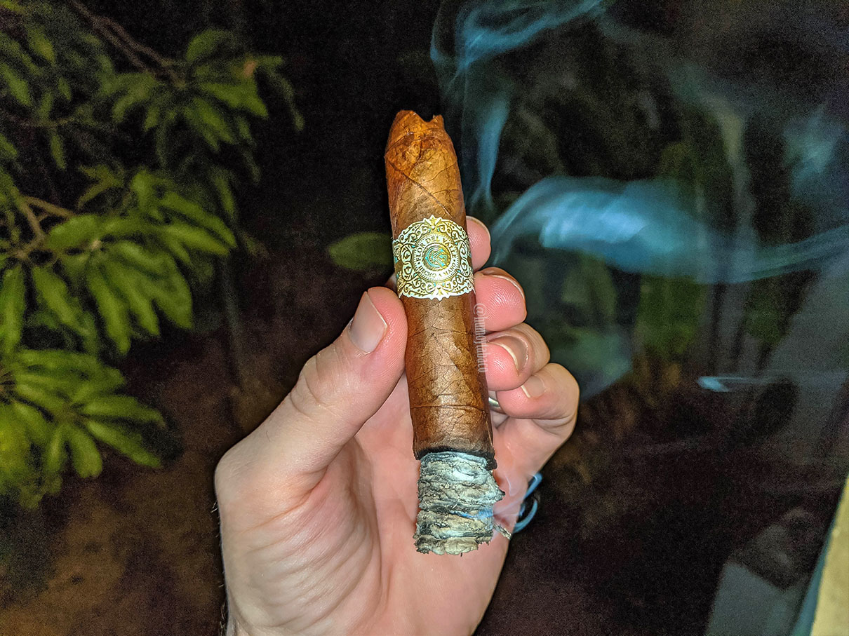 Warped - Flor del Valle Selección del Valle 04