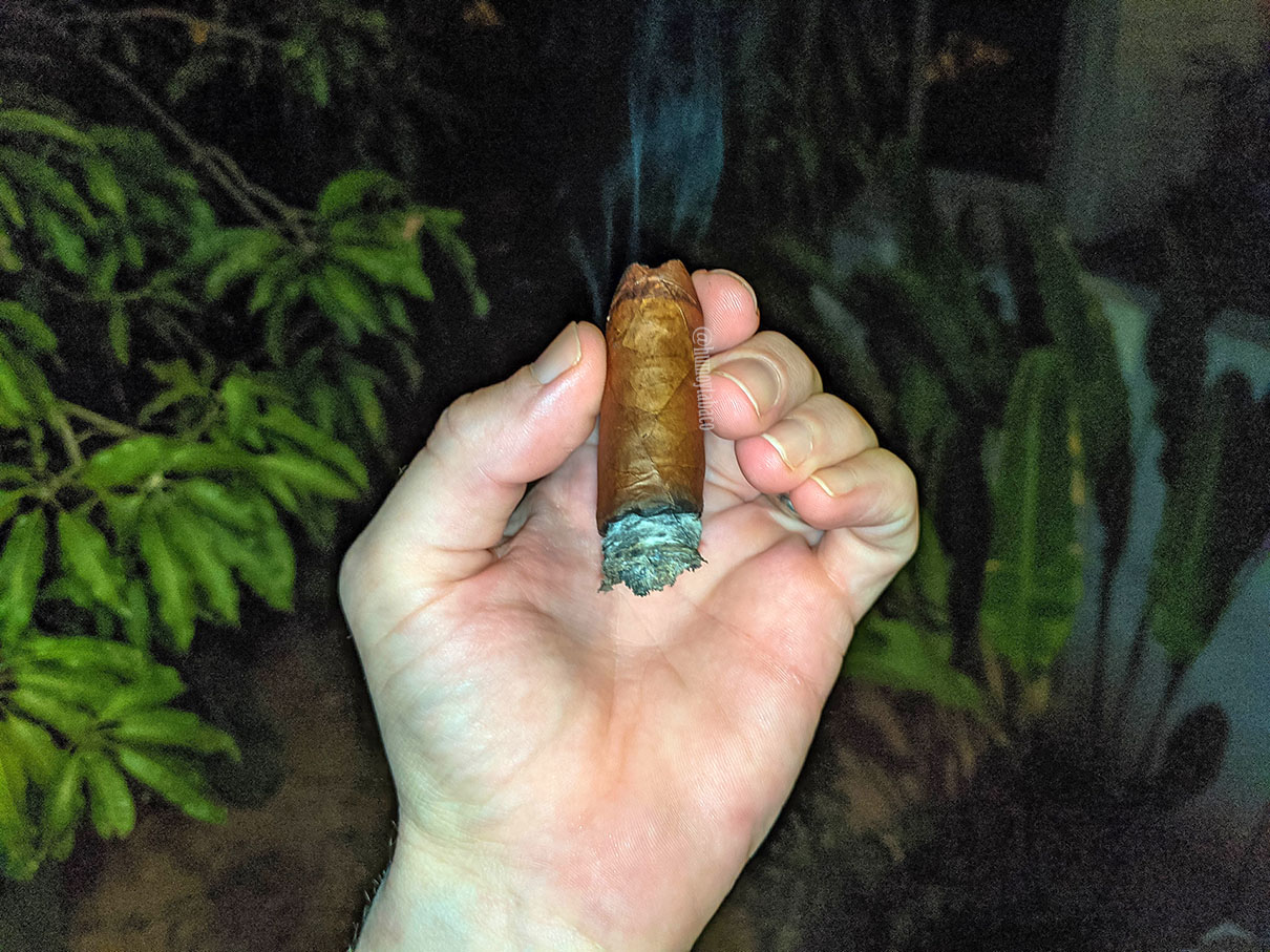 Warped - Flor del Valle Selección del Valle 05