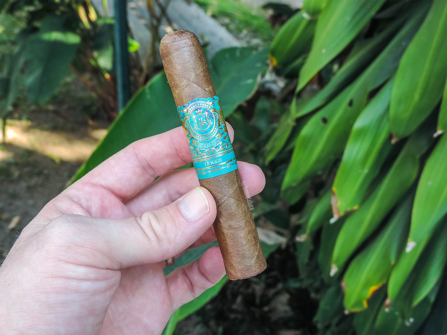 Jas Sum Kral - Nuggs 01