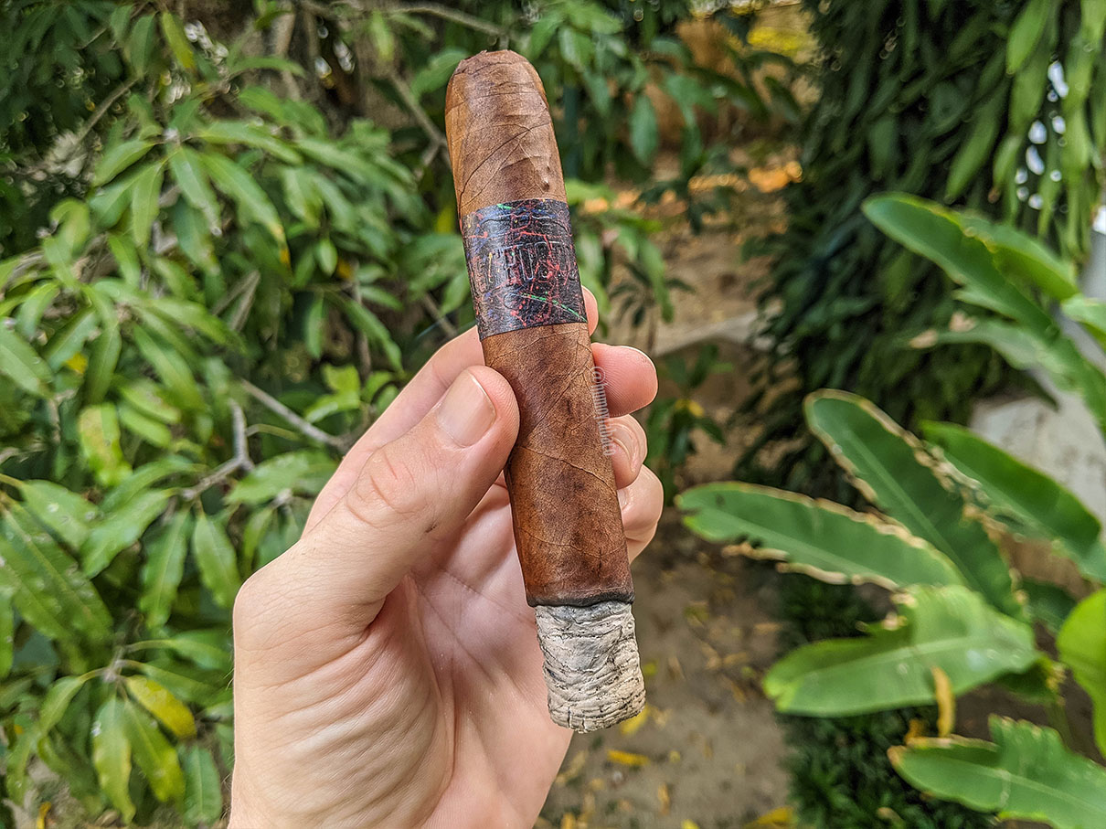 La Instructora - Perfection 02