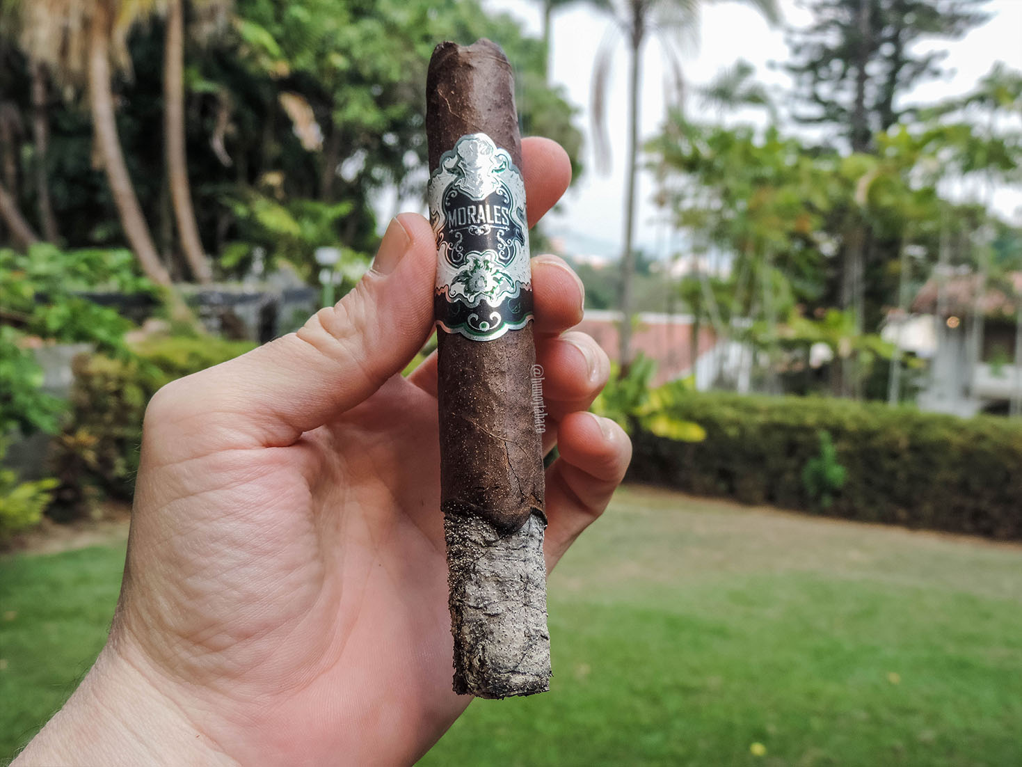 Morales Cigars - 803 Maduro 02