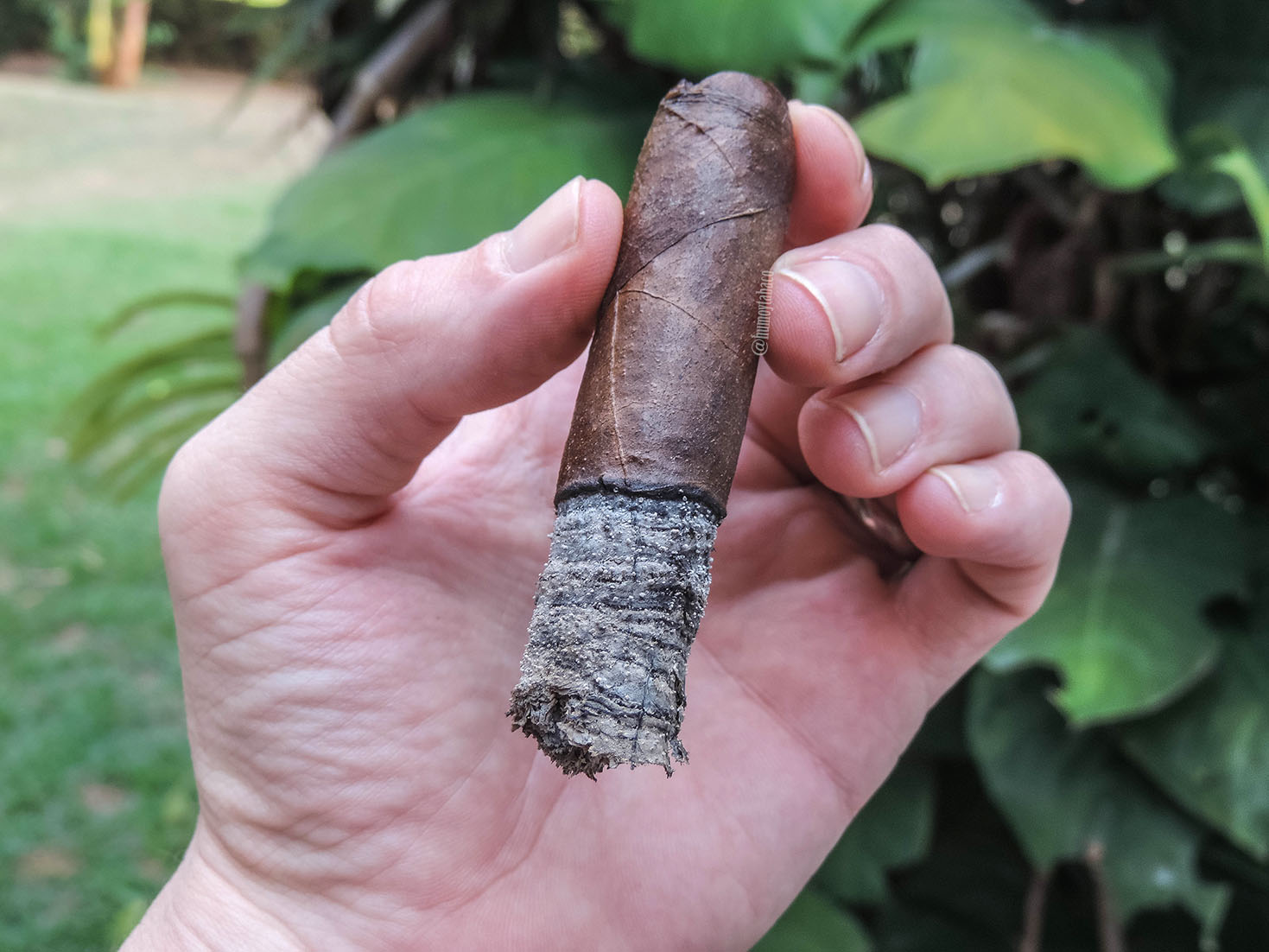 Morales Cigars - 803 Maduro 05
