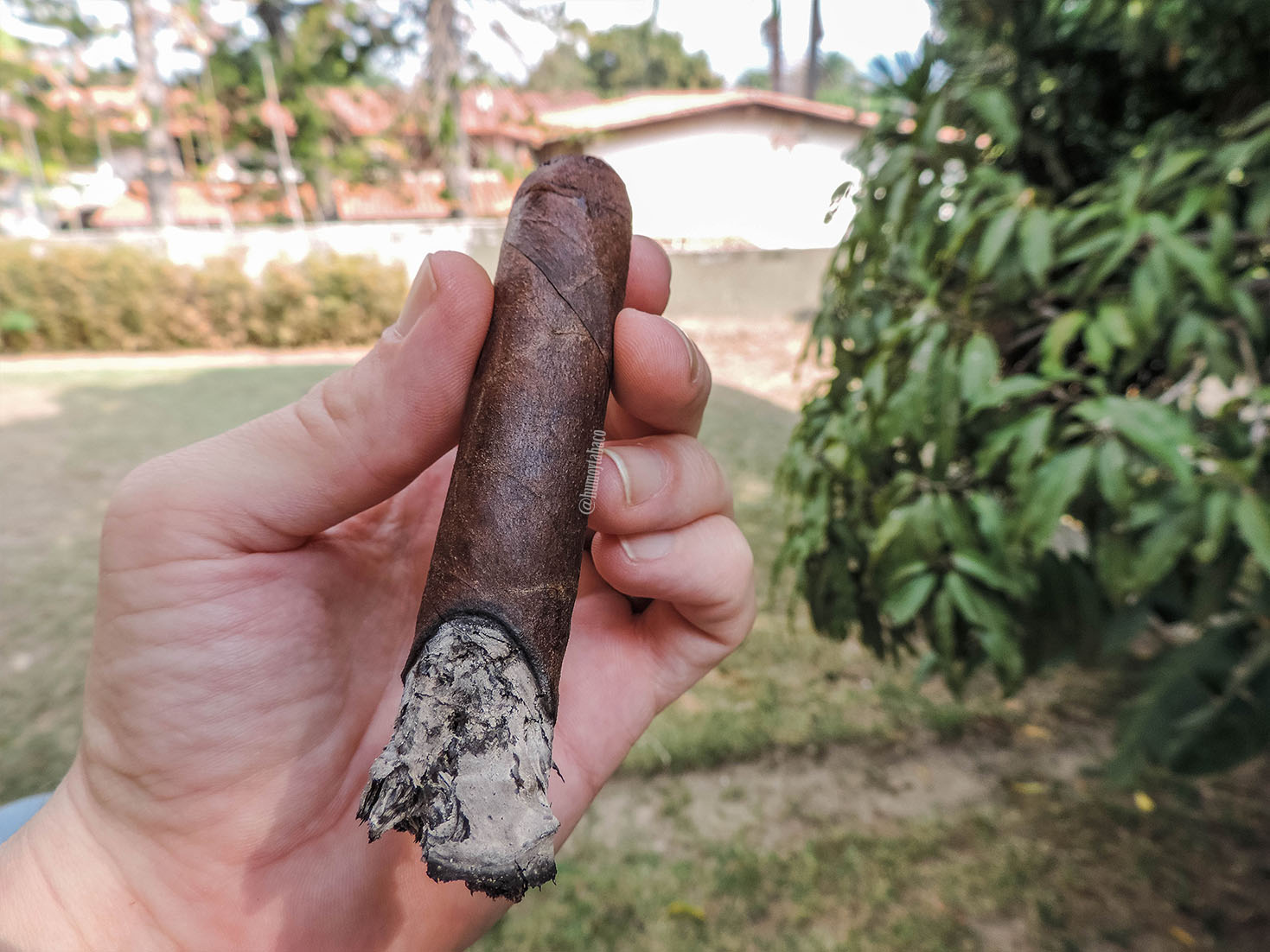 Protocol - Sir Robert Peel Maduro 04