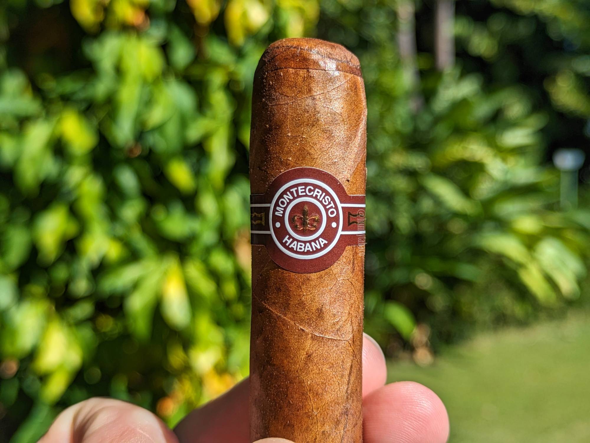 Montecristo – Petit Edmundo (recatado) – Humo y Tabaco