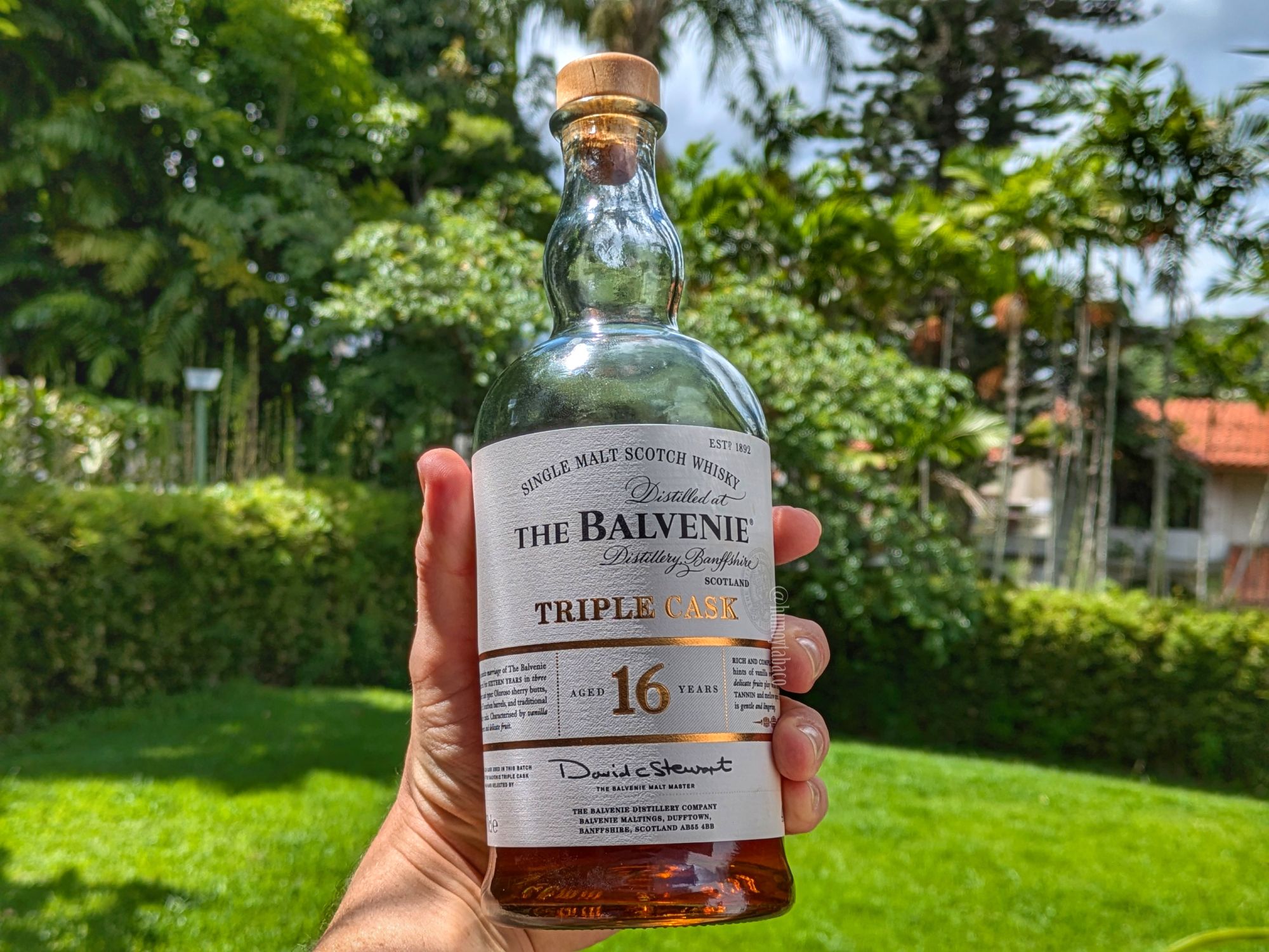 Whisky: The Balvenie 16 Triple Cask – Humo y Tabaco