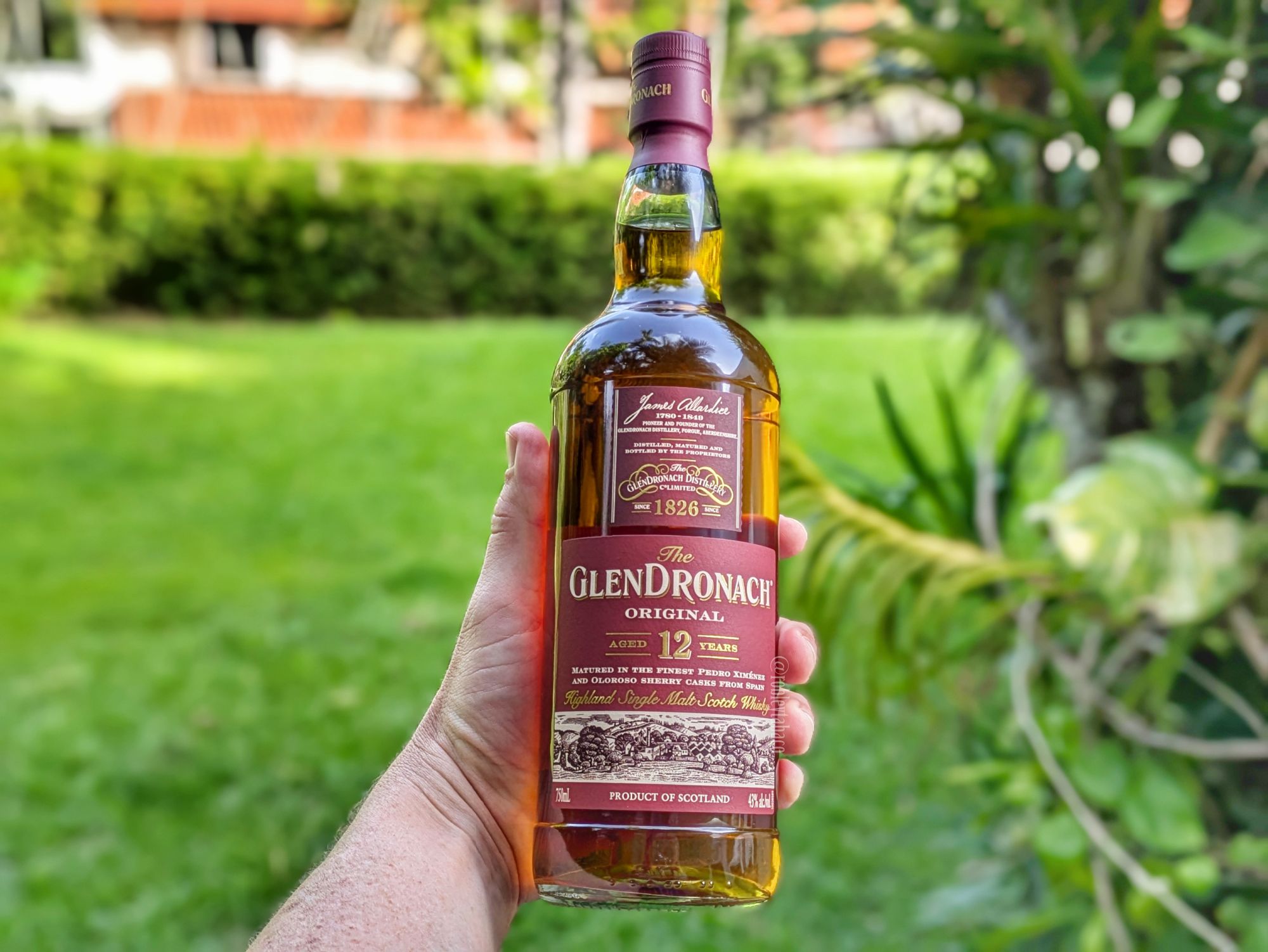 Whisky: GlenDronach 12 – Humo y Tabaco