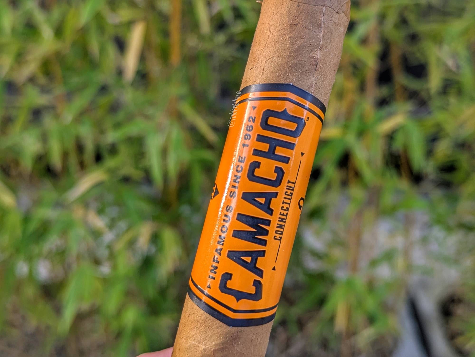 Sorry! Image not available at this time