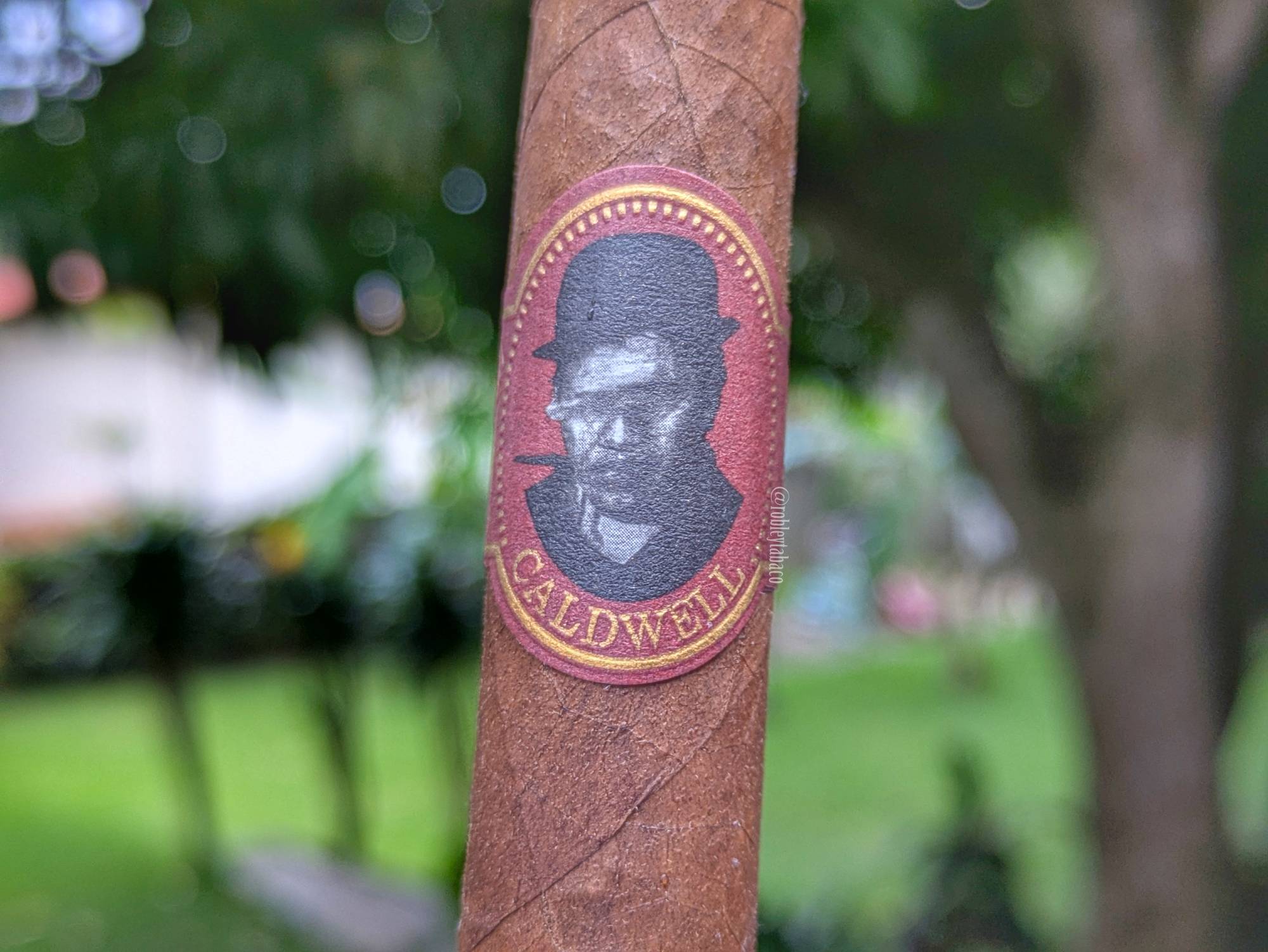 Sorry! Image not available at this time