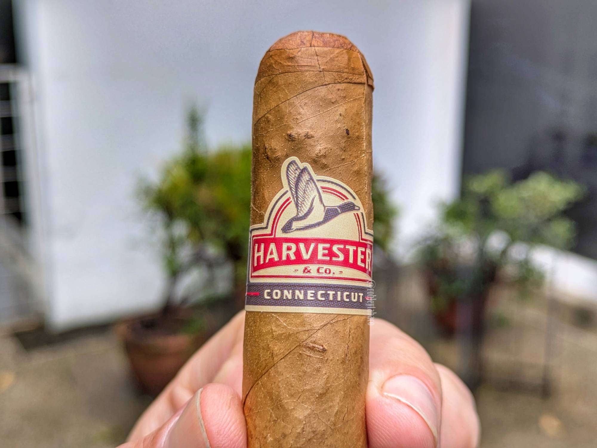 Sorry! Image not available at this time