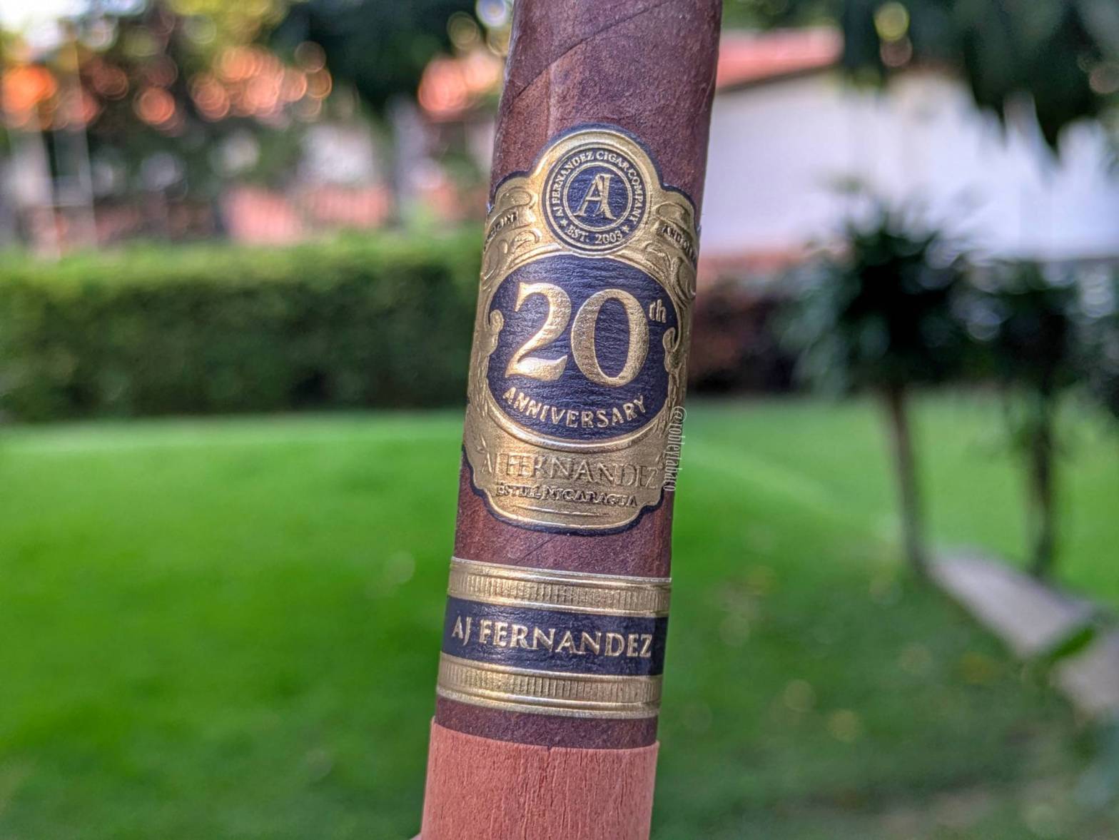 AJ Fernandez - 20th Anniversary (Toro) Band