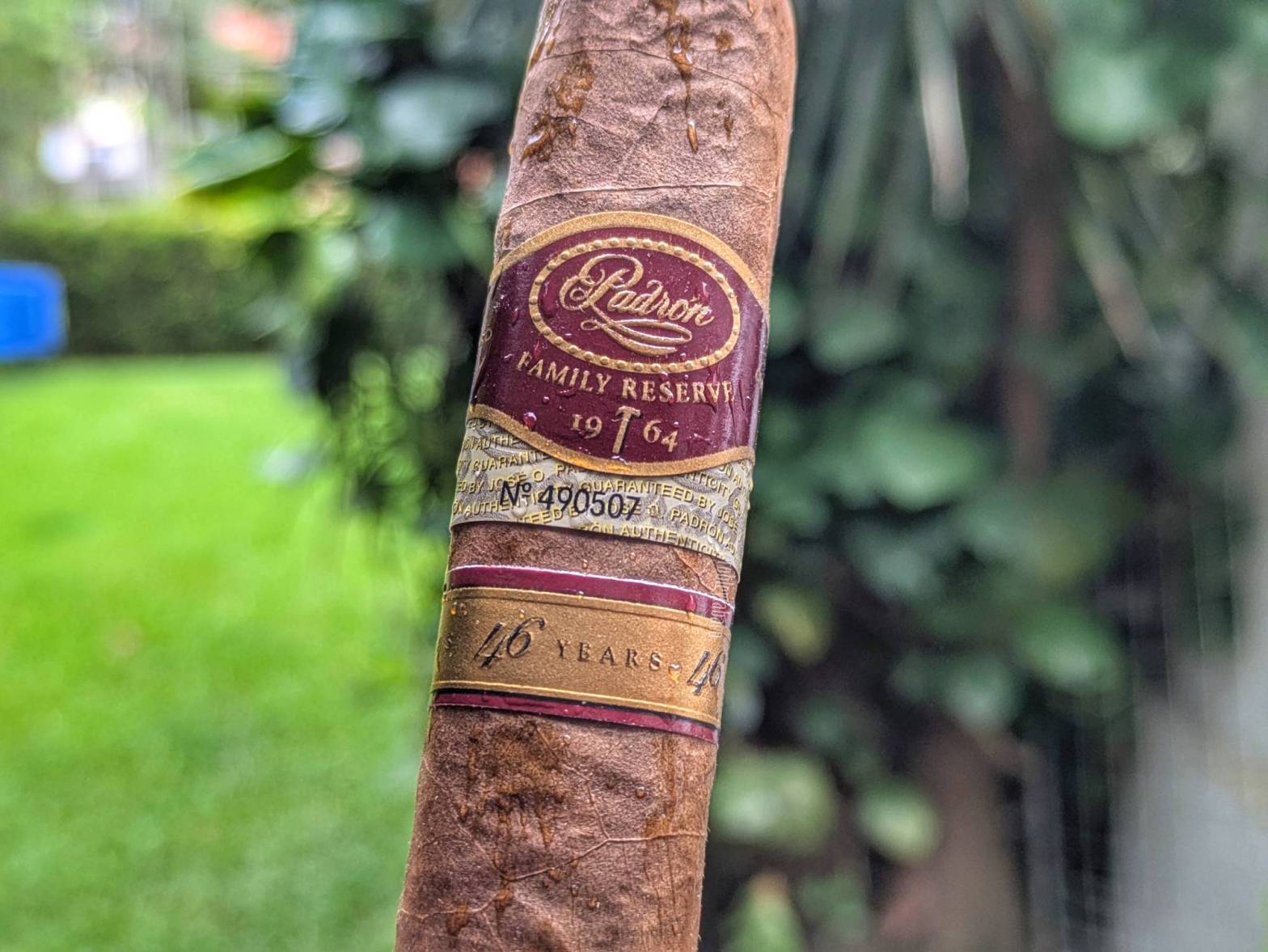 Padron - Family Reserve 46 Years Natural Band