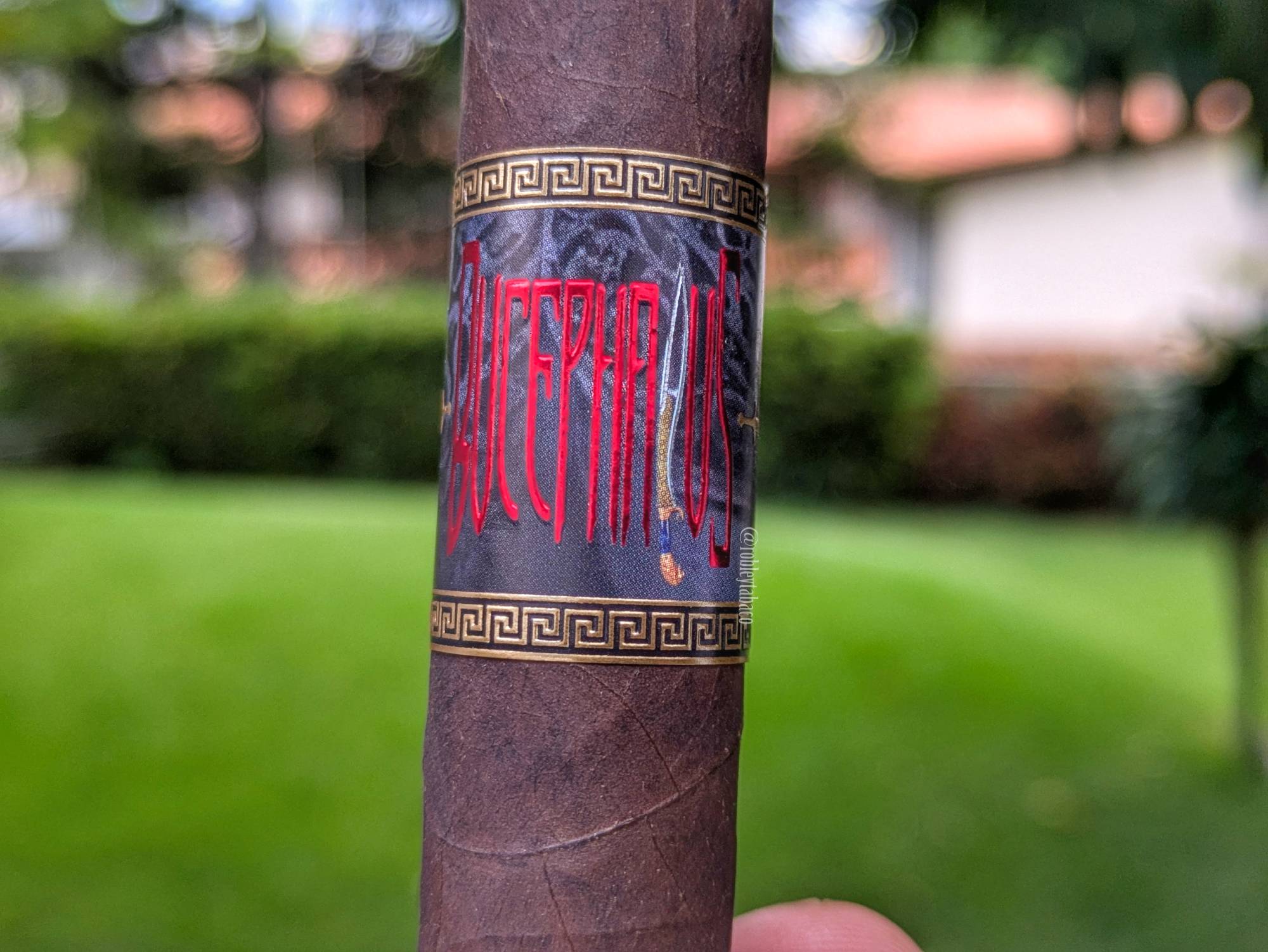 Sorry! Image not available at this time