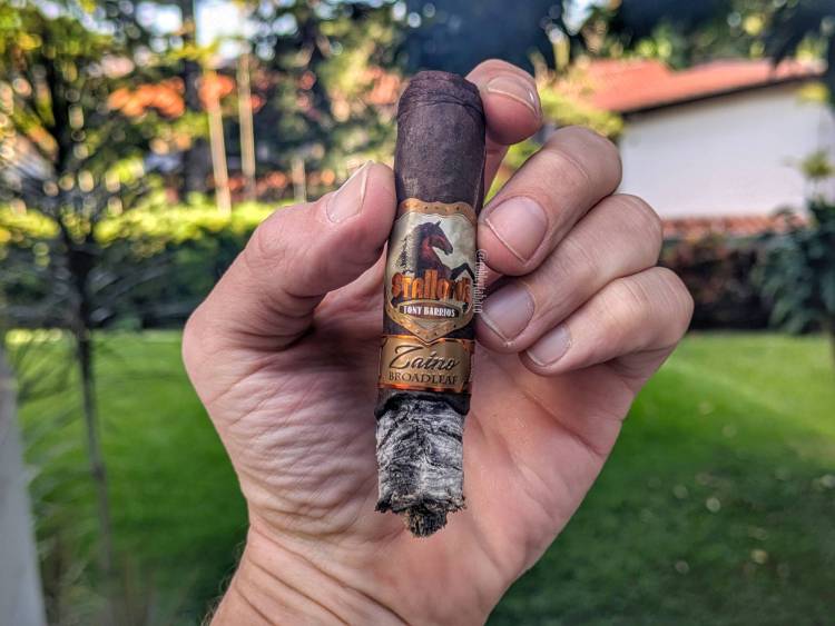 Stallone - Zaino Broadleaf (Robusto) second third