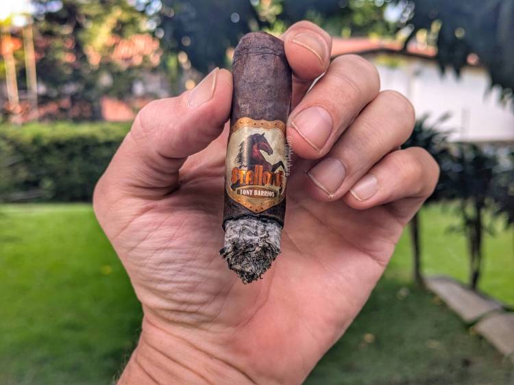 Stallone - Zaino Broadleaf (Robusto) last third