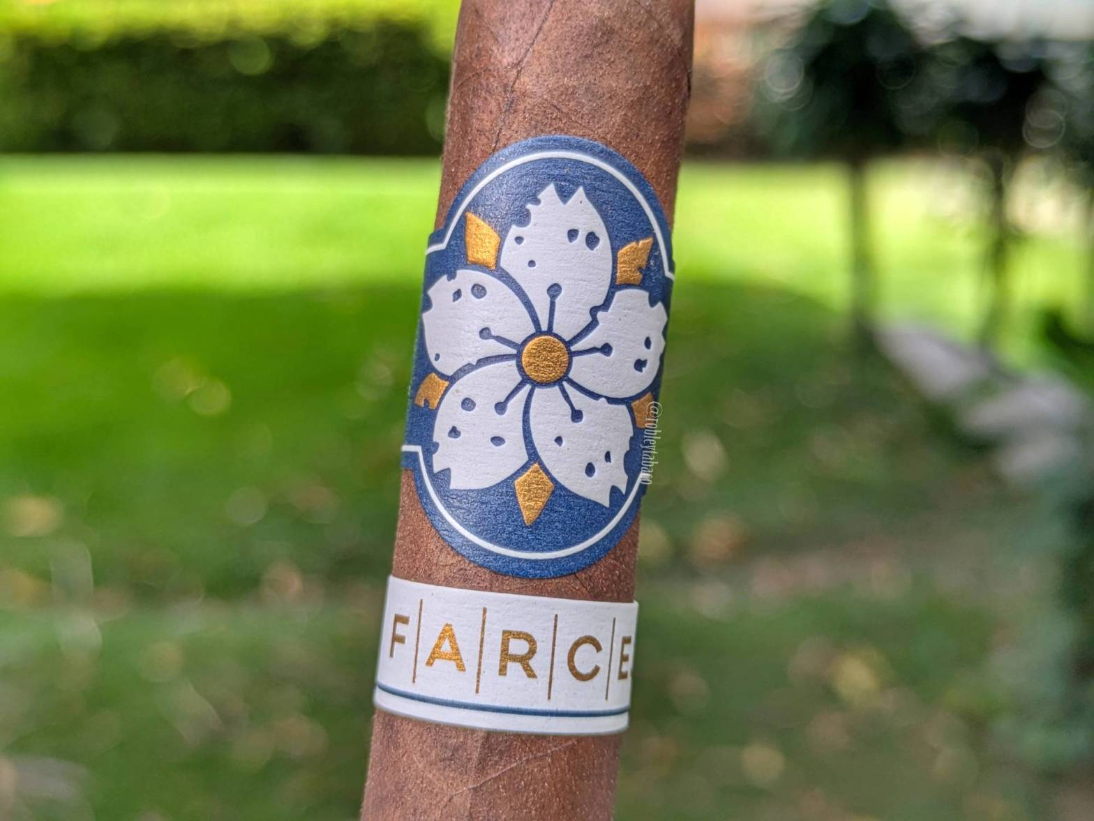 Room 101 Farce Maduro band