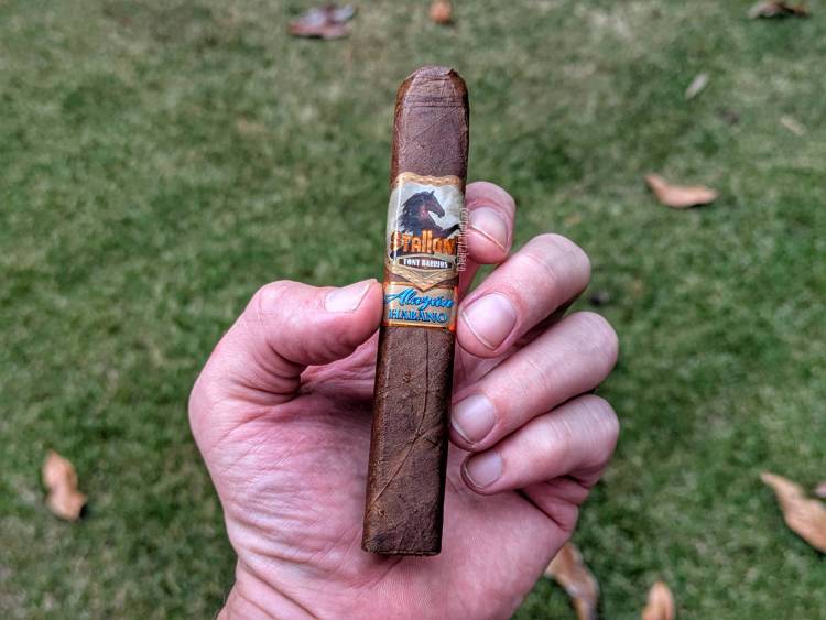 Stallone - Alazán Habano cigar