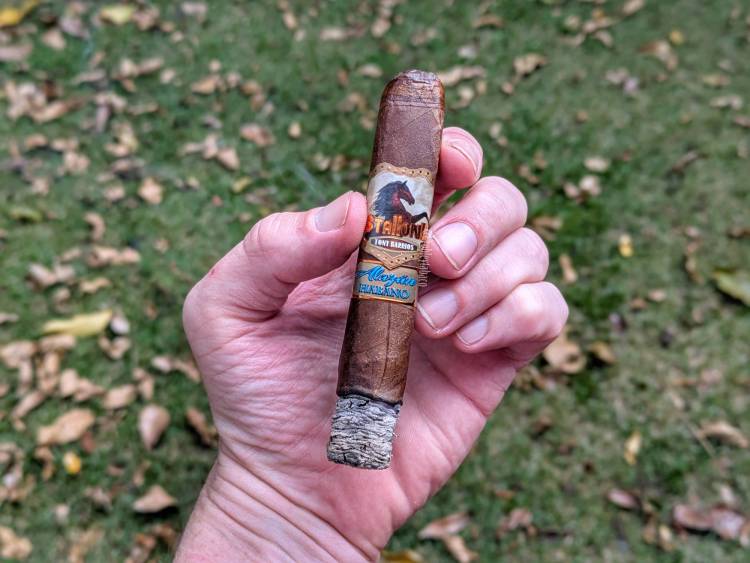 Stallone - Alazán Habano first third