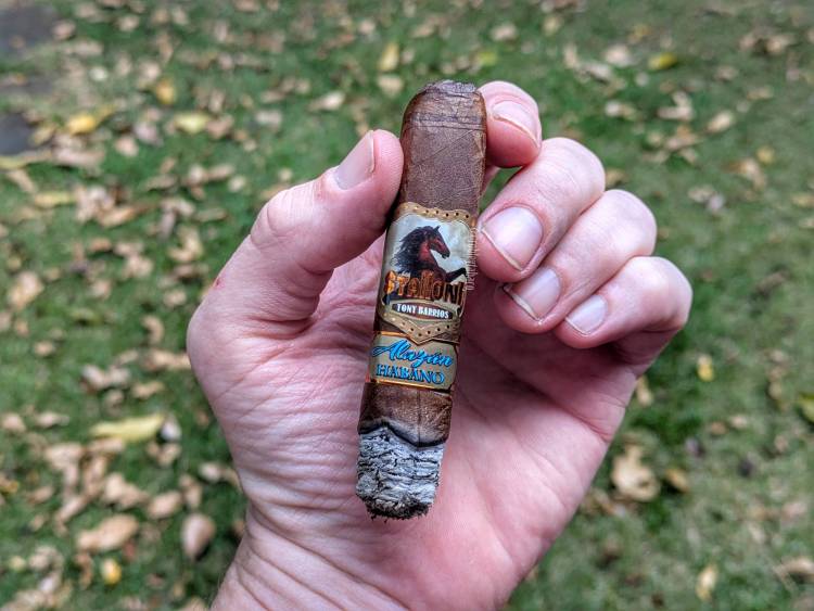 Stallone - Alazán Habano second third
