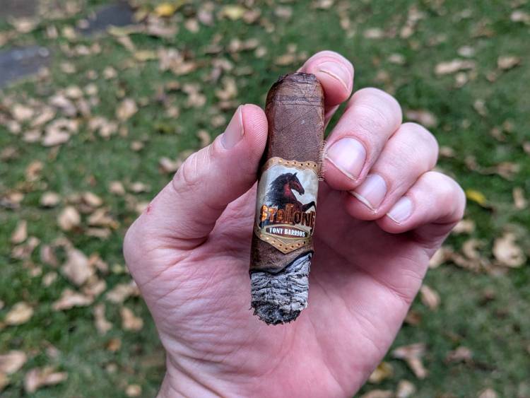 Stallone - Alazán Habano last third