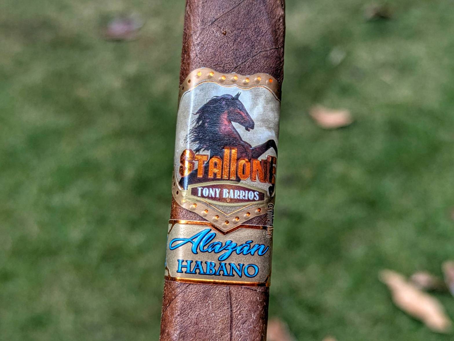 Stallone - Alazán Habano band