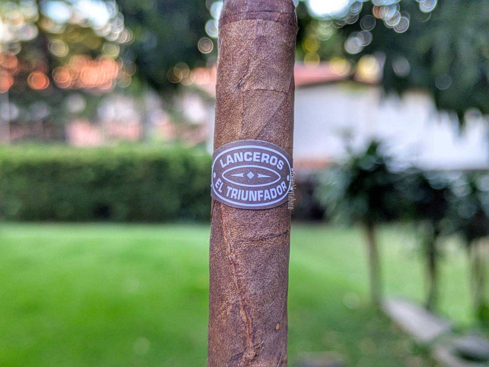 Tatuaje - El Triunfador Band